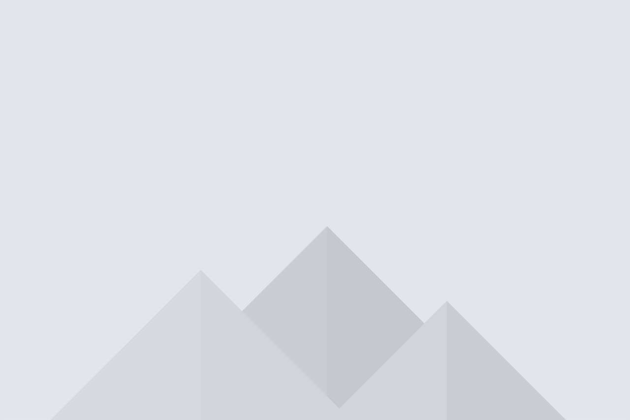 Illustration Project