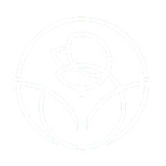 white_rose https://www.eftal.net/wp-content/uploads/2019/08/white_rose.png