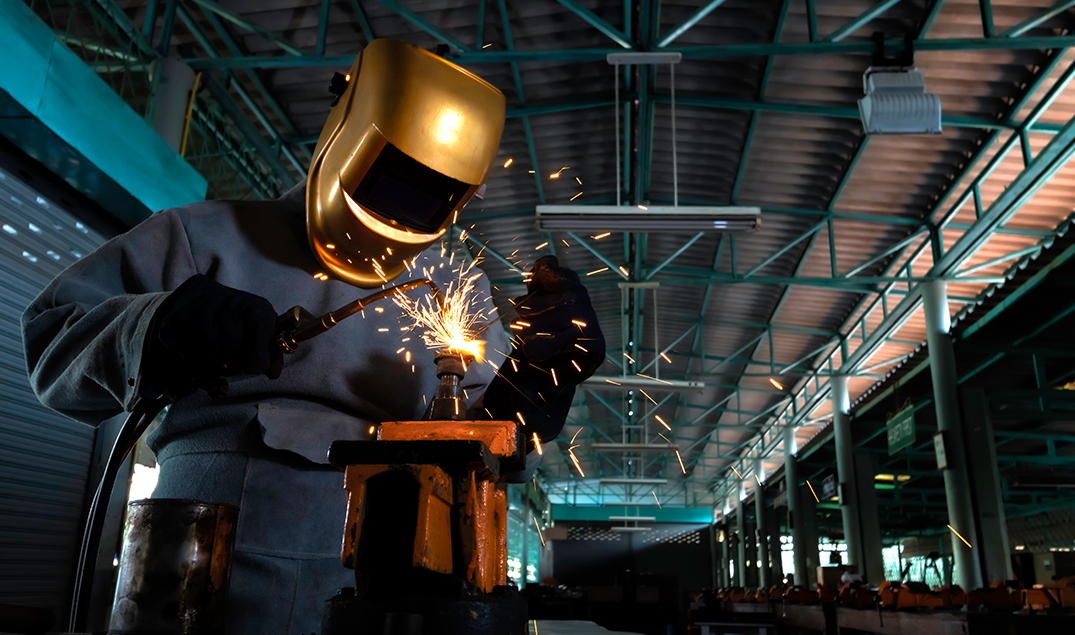 Exploring The Wild Side in an Industrial Jungle.